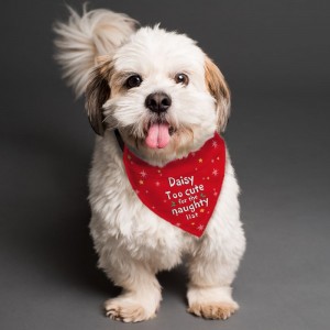 Personalised "Too cute for the naughty list" Dog Bandana