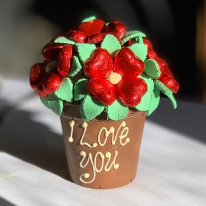Personalised Smash Flower Pot Red - Small