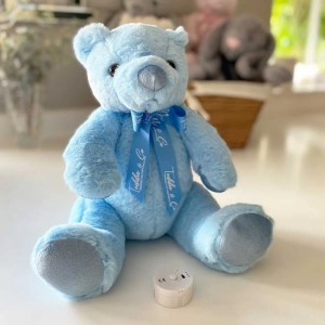 Personalised  Record-A-Voice Teddy Bear - Blue - Gift Bag