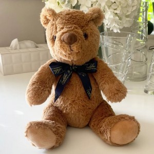
                            Personalised Record- A-Voice Brown Teddy Bear 