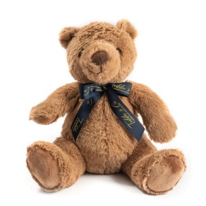 
                            Personalised Record- A-Voice Brown Teddy Bear 