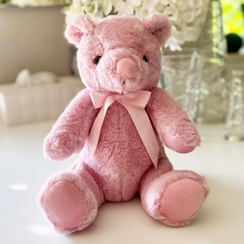 Personalised Record-A-Voice Teddy Bear – Pink – Gift Bag Personalised Record-A-Voice Teddy Bear – Pink – Gift Bag